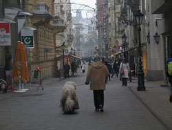 Barrios de Budapest