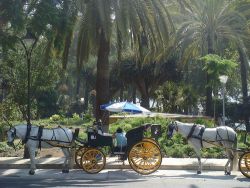 Cómo moverse por Málaga