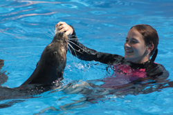 Miami Seaquarium