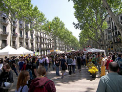 Las Ramblas y el Barrio Gotico de Barcelona