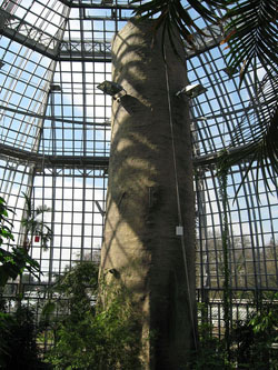 Jardín Botánico de Berlín