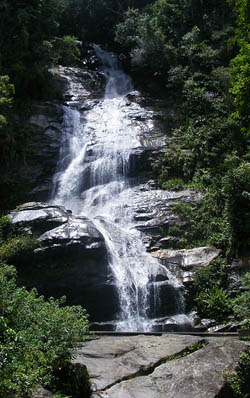 Parque de Tijuca de Rio de Janeiro