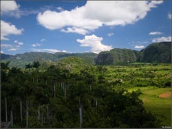 Pinar del Rio - Cuba